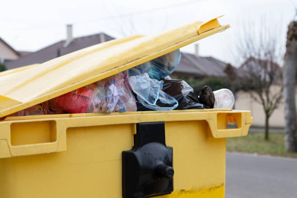 Best Demolition Debris Removal  in Santa Paula, CA